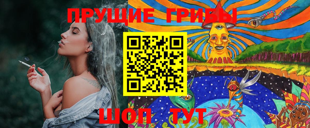 Губкинский  Псилоцибиновые грибы мухоморы  Вход с VPN  Галлюциногенные грибы MAGIC MUSHROOMS 